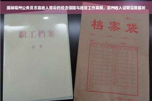 揭秘福州公务员市直收入背后的经济保障与稳定工作真相，苏州收入证明深度解析