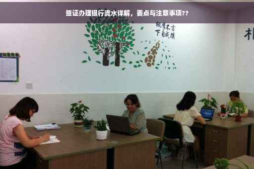 签证办理银行流水详解，要点与注意事项??