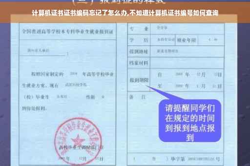 计算机证书证书编码忘记了怎么办,不知道计算机证书编号如何查询