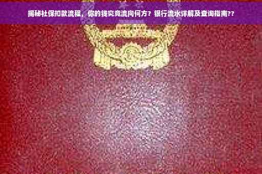 揭秘社保扣款流程，你的钱究竟流向何方？银行流水详解及查询指南??