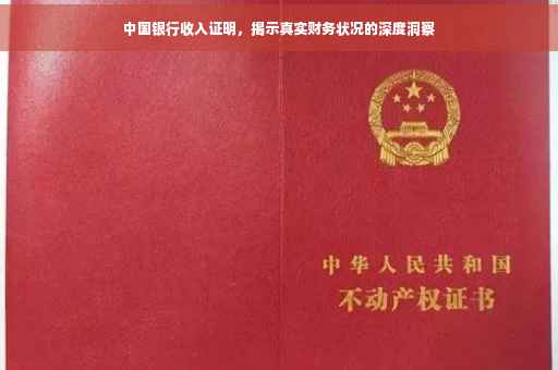 中国银行收入证明，揭示真实财务状况的深度洞察