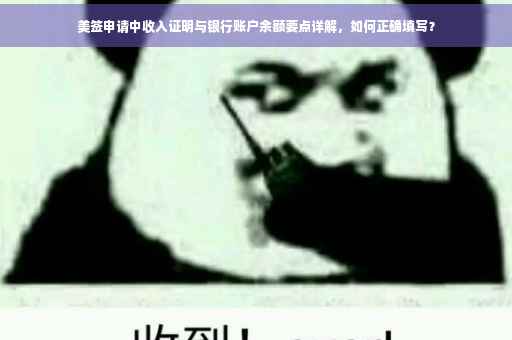 美签申请中收入证明与银行账户余额要点详解，如何正确填写？