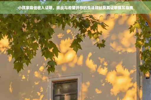 小孩家庭低收入证明，挑战与希望并存的生活现状及其证明撰写指南