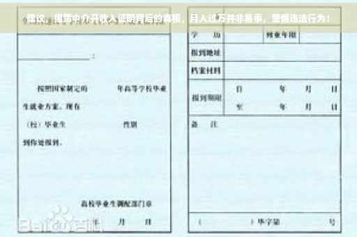 建议，揭露中介开收入证明背后的真相，月入过万并非易事，警惕违法行为！