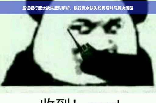 签证银行流水缺失应对解析，银行流水缺失如何应对与解决策略