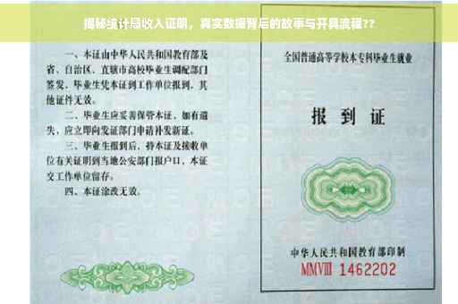 揭秘统计局收入证明，真实数据背后的故事与开具流程??