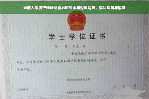 无收入家属护理证明背后的故事与深度解析，撰写指南与解析