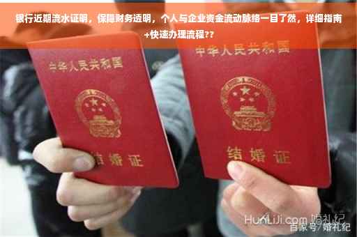 银行近期流水证明，保障财务透明，个人与企业资金流动脉络一目了然，详细指南+快速办理流程??