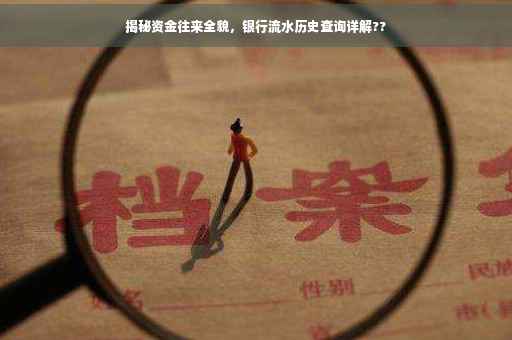 揭秘资金往来全貌，银行流水历史查询详解??