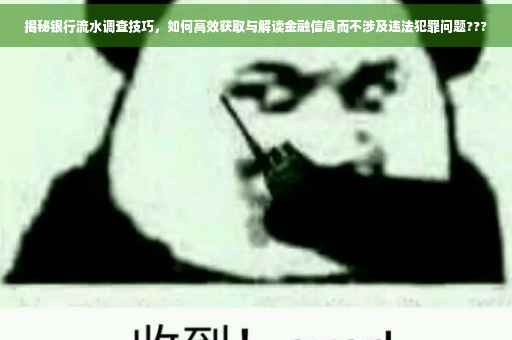 揭秘银行流水调查技巧，如何高效获取与解读金融信息而不涉及违法犯罪问题???