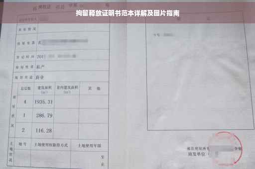 拘留释放证明书范本详解及图片指南