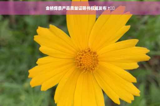 金桥焊条产品质量证明书权威发布 ?⚡️