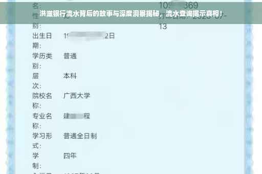 洪滋银行流水背后的故事与深度洞察揭秘，流水查询揭示真相！