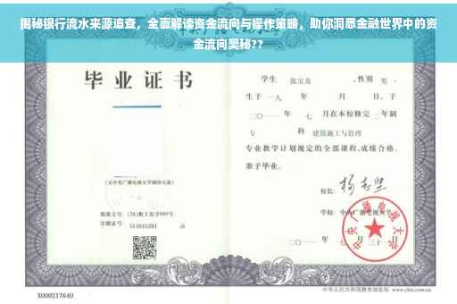 揭秘银行流水来源追查，全面解读资金流向与操作策略，助你洞悉金融世界中的资金流向奥秘??