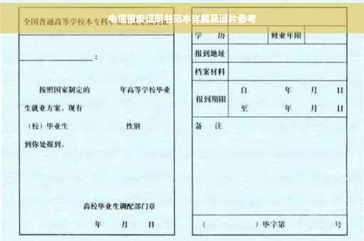 电缆报废证明书范本详解及图片参考