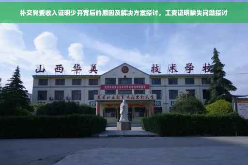 补交党费收入证明少开背后的原因及解决方案探讨，工资证明缺失问题探讨