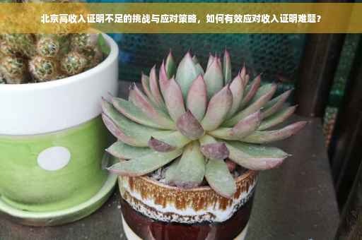 北京高收入证明不足的挑战与应对策略，如何有效应对收入证明难题？