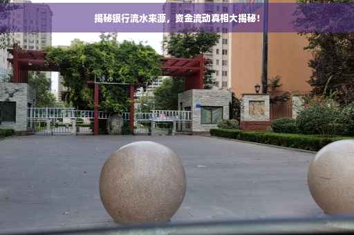 揭秘银行流水来源，资金流动真相大揭秘！