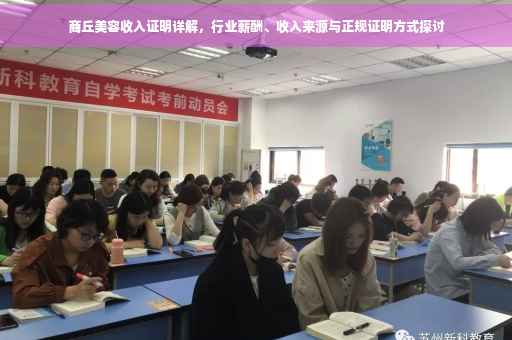 商丘美容收入证明详解，行业薪酬、收入来源与正规证明方式探讨
