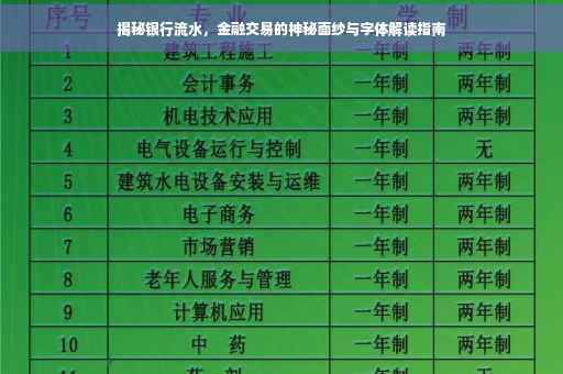 揭秘银行流水，金融交易的神秘面纱与字体解读指南