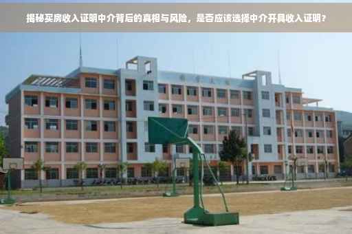 揭秘买房收入证明中介背后的真相与风险，是否应该选择中介开具收入证明？