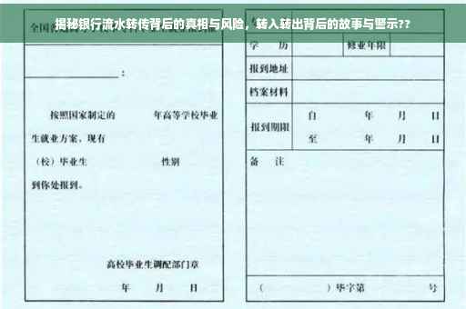 揭秘银行流水转传背后的真相与风险，转入转出背后的故事与警示??