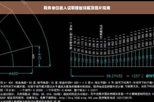 税务单位收入证明模板详解及图片指南