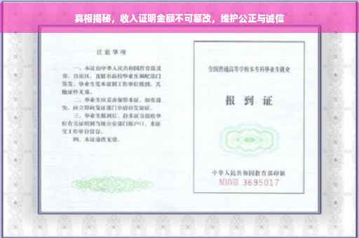 真相揭秘，收入证明金额不可篡改，维护公正与诚信