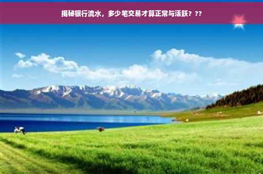 揭秘银行流水，多少笔交易才算正常与活跃？??