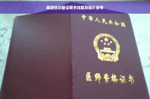 脑损伤诊断证明书详解及图片参考