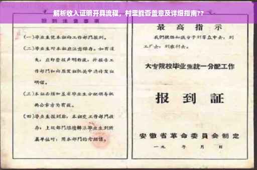 解析收入证明开具流程，村里能否盖章及详细指南??