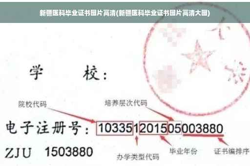 新疆医科毕业证书图片高清(新疆医科毕业证书图片高清大图)