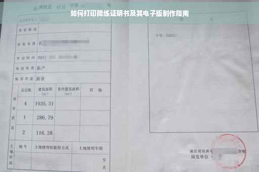 如何打印陪练证明书及其电子版制作指南