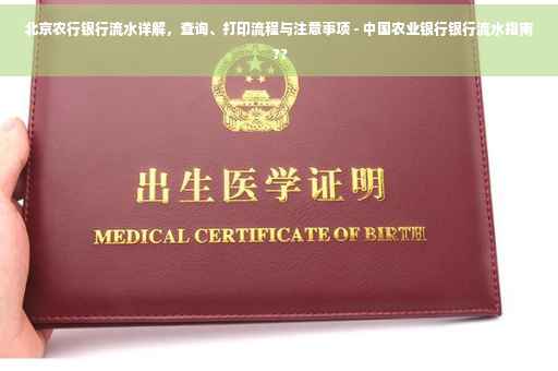 北京农行银行流水详解，查询、打印流程与注意事项 - 中国农业银行银行流水指南 ??