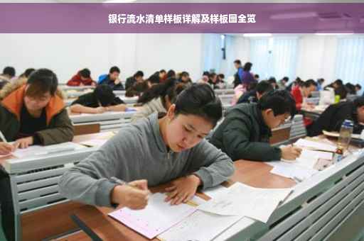 银行流水清单样板详解及样板图全览