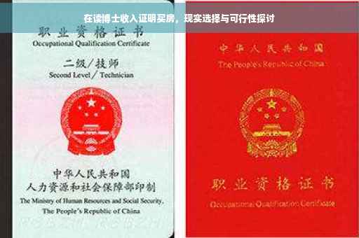 在读博士收入证明买房，现实选择与可行性探讨