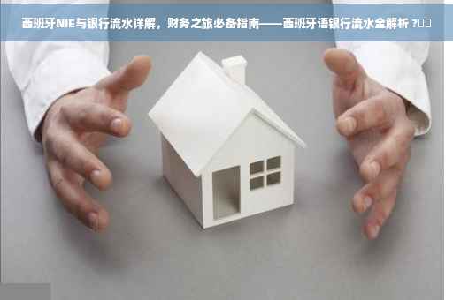 西班牙NIE与银行流水详解，财务之旅必备指南——西班牙语银行流水全解析 ?⚡️
