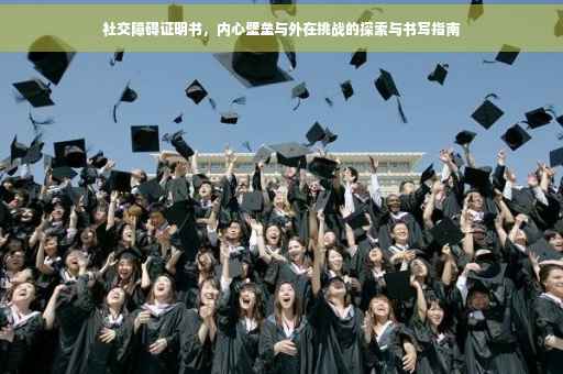 社交障碍证明书，内心壁垒与外在挑战的探索与书写指南