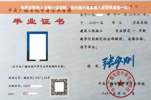 农民在职收入证明公证详解，如何揭示真实收入状况的重要一环？