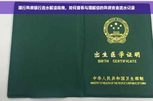 建行购房银行流水解读指南，如何查看与理解你的购房资金流水记录