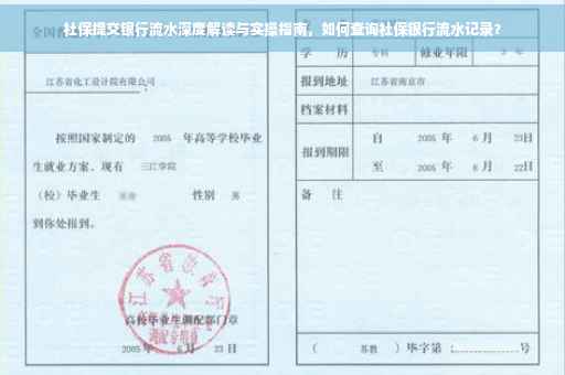 社保提交银行流水深度解读与实操指南，如何查询社保银行流水记录？