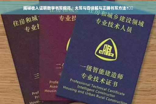 揭秘收入证明数字书写规范，大写与否详解与正确书写方法?⚡️