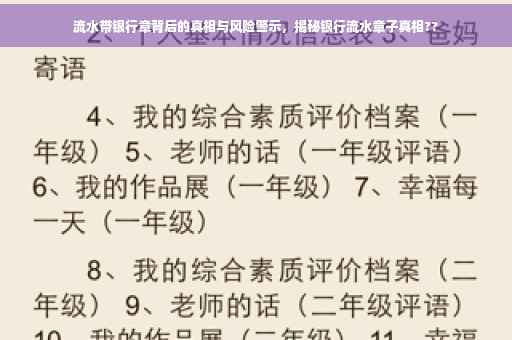 流水带银行章背后的真相与风险警示，揭秘银行流水章子真相??