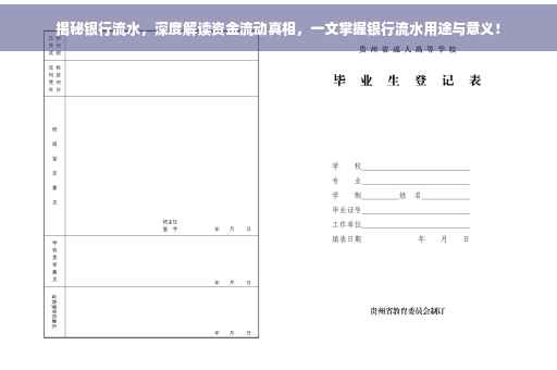揭秘银行流水，深度解读资金流动真相，一文掌握银行流水用途与意义！