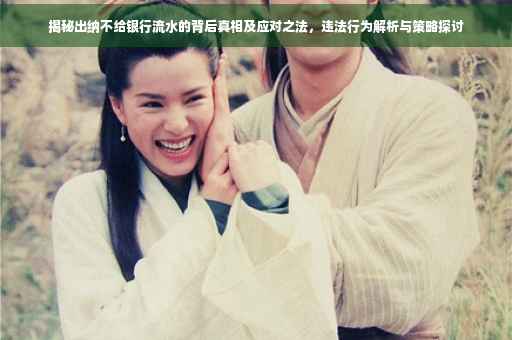 揭秘出纳不给银行流水的背后真相及应对之法，违法行为解析与策略探讨