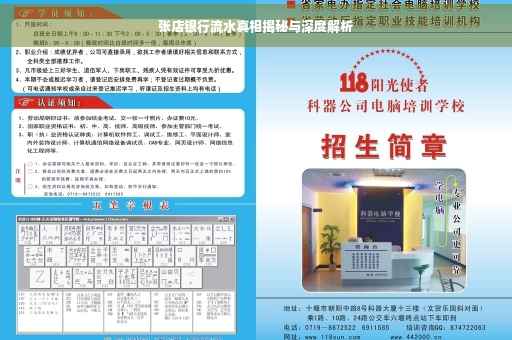 张店银行流水真相揭秘与深度解析