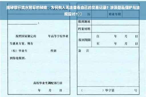 揭秘银行流水背后的秘密，为何有人无法查看自己的交易记录？涉及隐私保护与法规探讨?⚡️