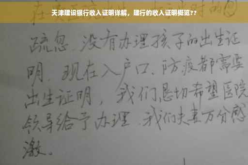 天津建设银行收入证明详解，建行的收入证明概览??