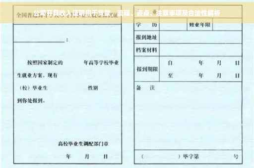 公司开具收入证明用于贷款，流程、要点、注意事项及合法性解析