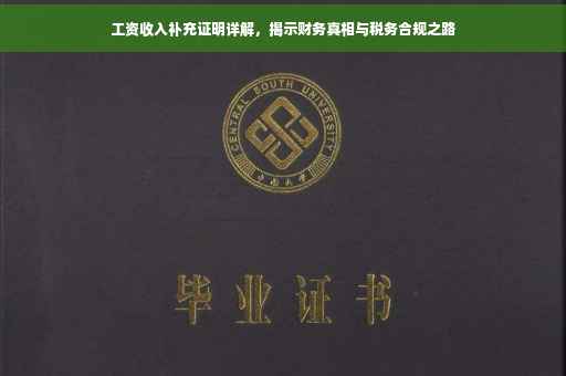工资收入补充证明详解，揭示财务真相与税务合规之路